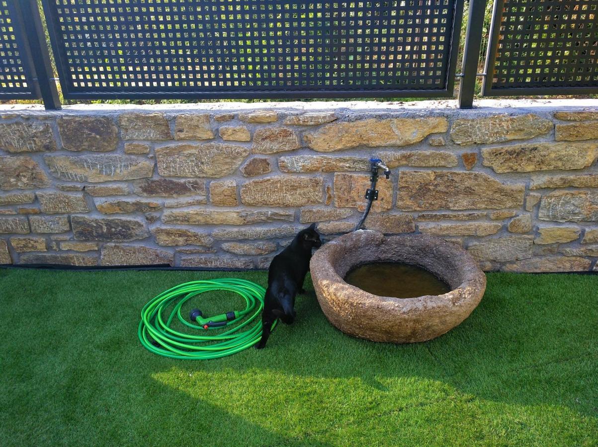 Trefacio Casa Rural El Gato Negro מראה חיצוני תמונה