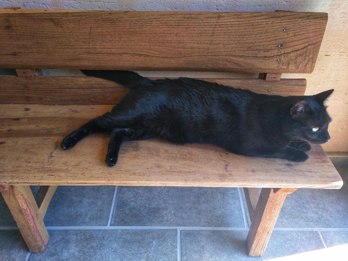 Trefacio Casa Rural El Gato Negro מראה חיצוני תמונה